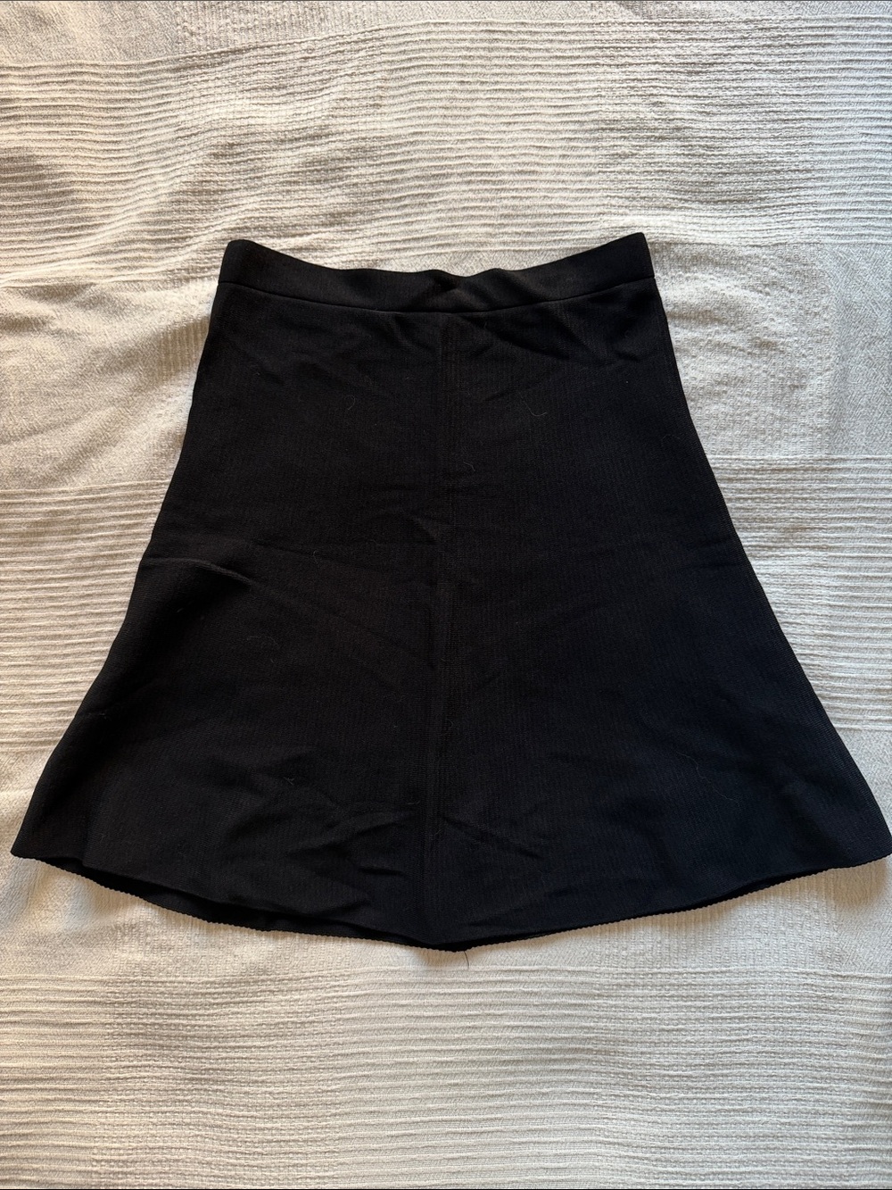 Zara Black A-Line Skirt